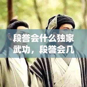 段譽會什么獨家武功，段譽會幾種武功 