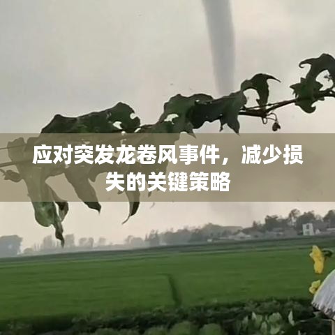 應(yīng)對突發(fā)龍卷風(fēng)事件，減少損失的關(guān)鍵策略