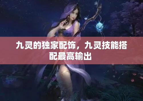 九靈的獨(dú)家配飾，九靈技能搭配最高輸出 