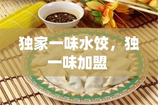 獨(dú)家一味水餃，獨(dú)一味加盟 