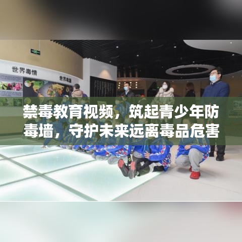 禁毒教育視頻，筑起青少年防毒墻，守護(hù)未來(lái)遠(yuǎn)離毒品危害