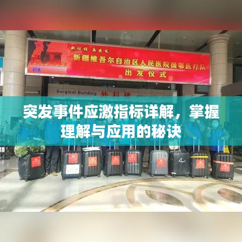 突發(fā)事件應(yīng)激指標詳解，掌握理解與應(yīng)用的秘訣
