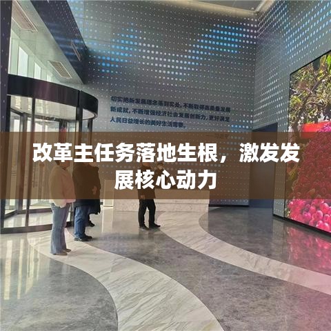改革主任務(wù)落地生根，激發(fā)發(fā)展核心動力