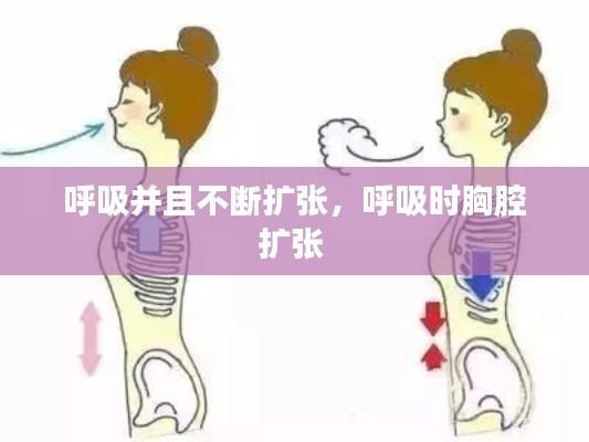 呼吸并且不斷擴張，呼吸時胸腔擴張 
