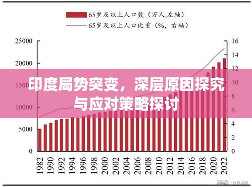 印度局勢突變，深層原因探究與應對策略探討