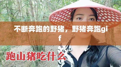 不斷奔跑的野豬，野豬奔跑gif 