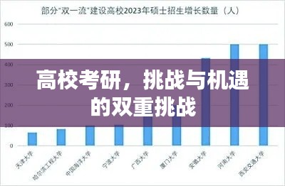 高?？佳?，挑戰(zhàn)與機(jī)遇的雙重挑戰(zhàn)