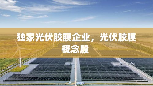獨(dú)家光伏膠膜企業(yè)，光伏膠膜概念股 