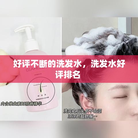 好評(píng)不斷的洗發(fā)水，洗發(fā)水好評(píng)排名 