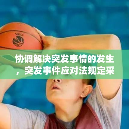 協(xié)調解決突發(fā)事情的發(fā)生，突發(fā)事件應對法規(guī)定采用調解 