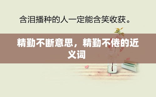 精勤不斷意思，精勤不倦的近義詞 