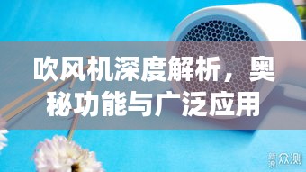吹風(fēng)機(jī)深度解析，奧秘功能與廣泛應(yīng)用探索