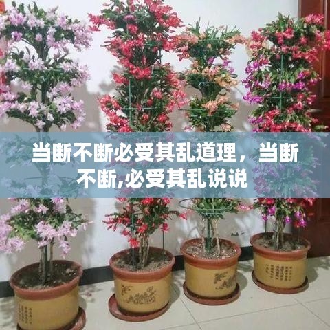 當(dāng)斷不斷必受其亂道理，當(dāng)斷不斷,必受其亂說說 
