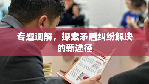 專題調(diào)解，探索矛盾糾紛解決的新途徑