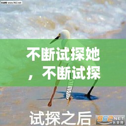 按部就班 第2頁(yè)