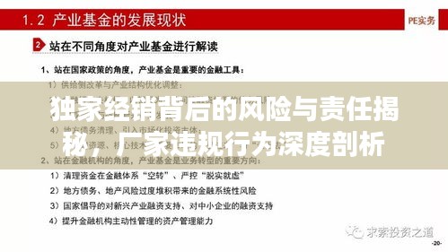 獨家經(jīng)銷背后的風(fēng)險與責(zé)任揭秘，廠家違規(guī)行為深度剖析