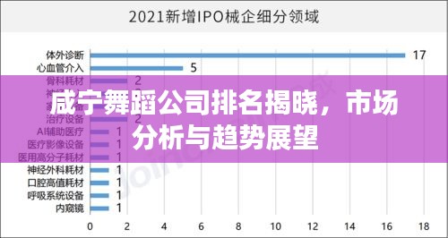 咸寧舞蹈公司排名揭曉，市場分析與趨勢展望