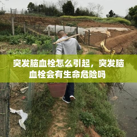 秀才人情紙半張 第2頁