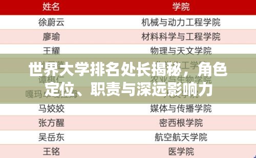 世界大學排名處長揭秘，角色定位、職責與深遠影響力