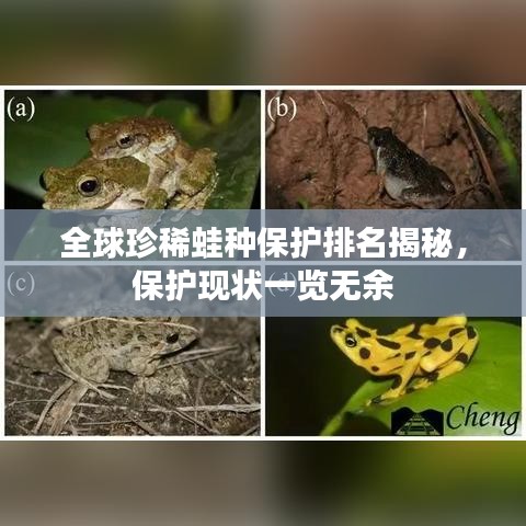 全球珍稀蛙種保護(hù)排名揭秘，保護(hù)現(xiàn)狀一覽無余