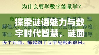 探索謎語魅力與數(shù)字時代智慧，謎面斷字與百度搜索的奇妙結(jié)合