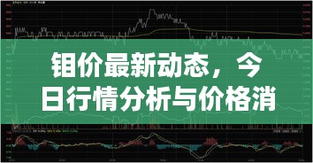 鉬價最新動態(tài)，今日行情分析與價格消息一網(wǎng)打盡