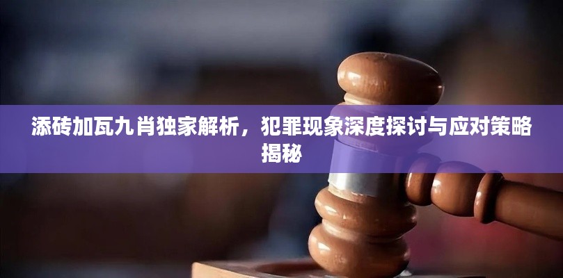 添磚加瓦九肖獨家解析，犯罪現(xiàn)象深度探討與應(yīng)對策略揭秘