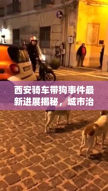 西安騎車帶狗事件最新進(jìn)展揭秘，城市治理新動向引發(fā)關(guān)注