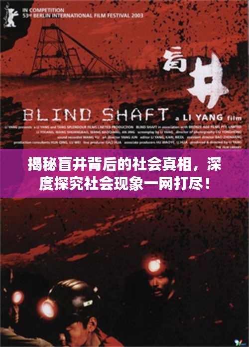 揭秘盲井背后的社會真相，深度探究社會現(xiàn)象一網(wǎng)打盡！