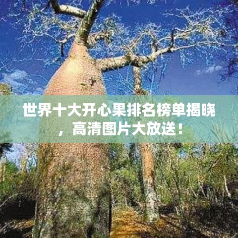 世界十大開心果排名榜單揭曉，高清圖片大放送！