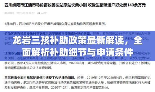 龍巖三孩補助政策最新解讀，全面解析補助細節(jié)與申請條件