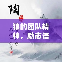 狼的團隊精神，勵志語錄激發(fā)無限潛能