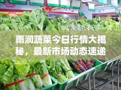 雨潤蔬菜今日行情大揭秘，最新市場動態(tài)速遞
