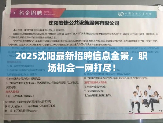 2025沈陽最新招聘信息全景，職場機會一網(wǎng)打盡！