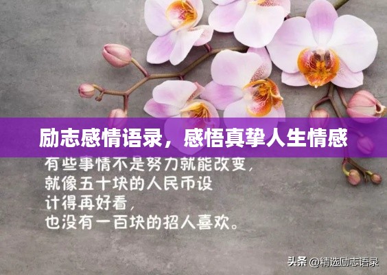 勵(lì)志感情語(yǔ)錄，感悟真摯人生情感