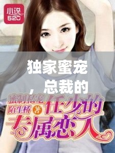 獨(dú)家蜜寵，總裁的專屬寵溺之旅