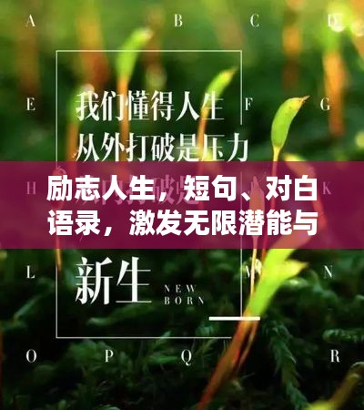 勵(lì)志人生，短句、對(duì)白語(yǔ)錄，激發(fā)無限潛能與斗志