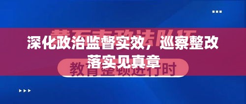 深化政治監(jiān)督實(shí)效，巡察整改落實(shí)見真章
