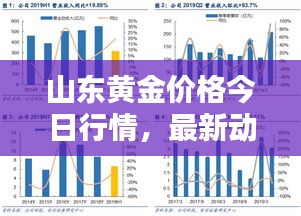 山東黃金價格今日行情，最新動態(tài)、深度分析與查詢