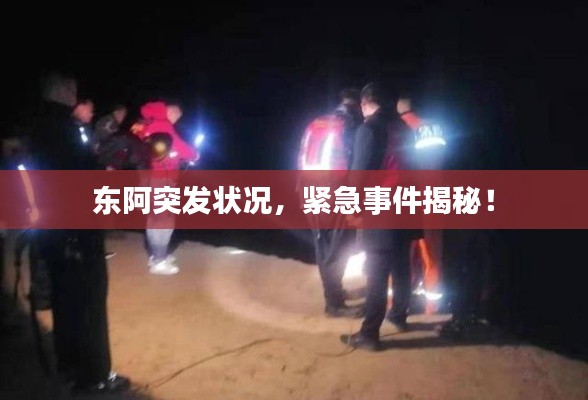 東阿突發(fā)狀況，緊急事件揭秘！