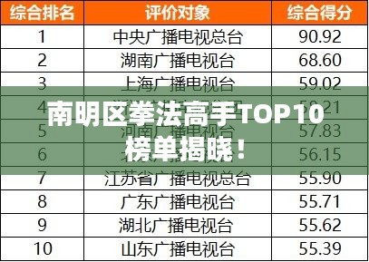 南明區(qū)拳法高手TOP10榜單揭曉！