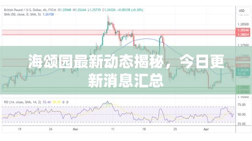 海頌園最新動態(tài)揭秘，今日更新消息匯總