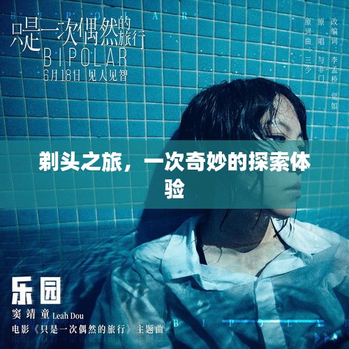 剃頭之旅，一次奇妙的探索體驗(yàn)