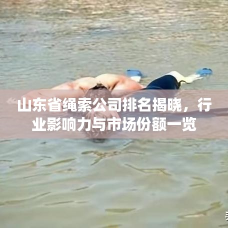 山東省繩索公司排名揭曉，行業(yè)影響力與市場份額一覽