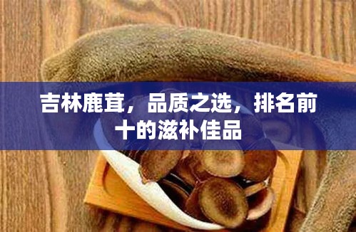 眉目如畫 第2頁