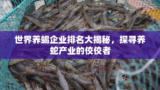 世界養(yǎng)蝎企業(yè)排名大揭秘，探尋養(yǎng)蛇產(chǎn)業(yè)的佼佼者