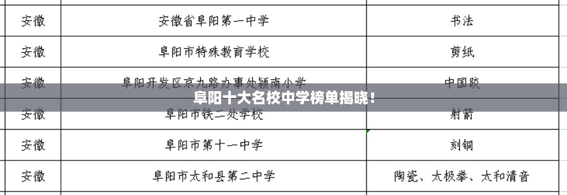 阜陽十大名校中學(xué)榜單揭曉！