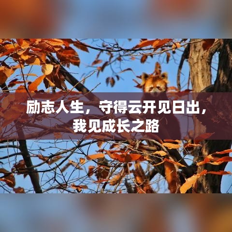 勵志人生，守得云開見日出，我見成長之路