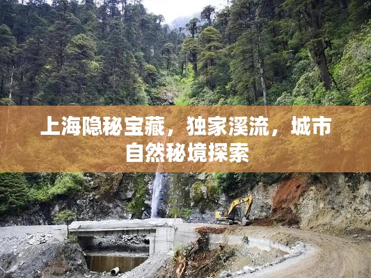 上海隱秘寶藏，獨家溪流，城市自然秘境探索