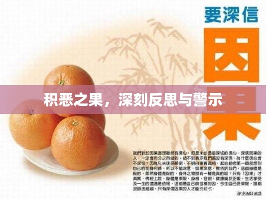 積惡之果，深刻反思與警示